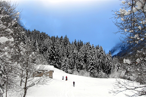 Vallone del Marguareis in inverno