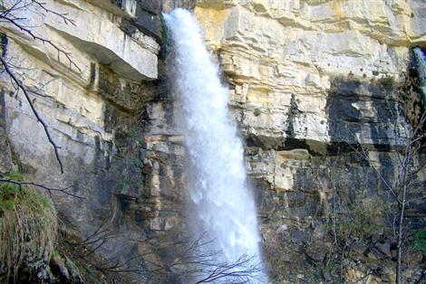 Pis del Pesio