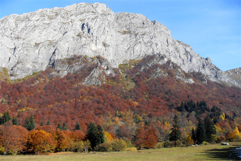 Cima Bruseis in Valle Pesio