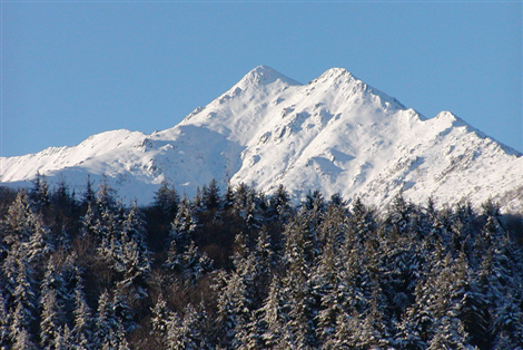 La Bisalta da Chiusa Pesio