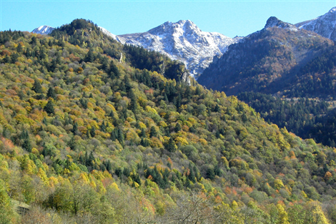 Valle Pesio
