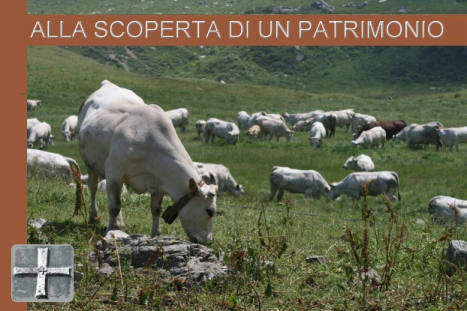 Alla scoperta di un patrimonio