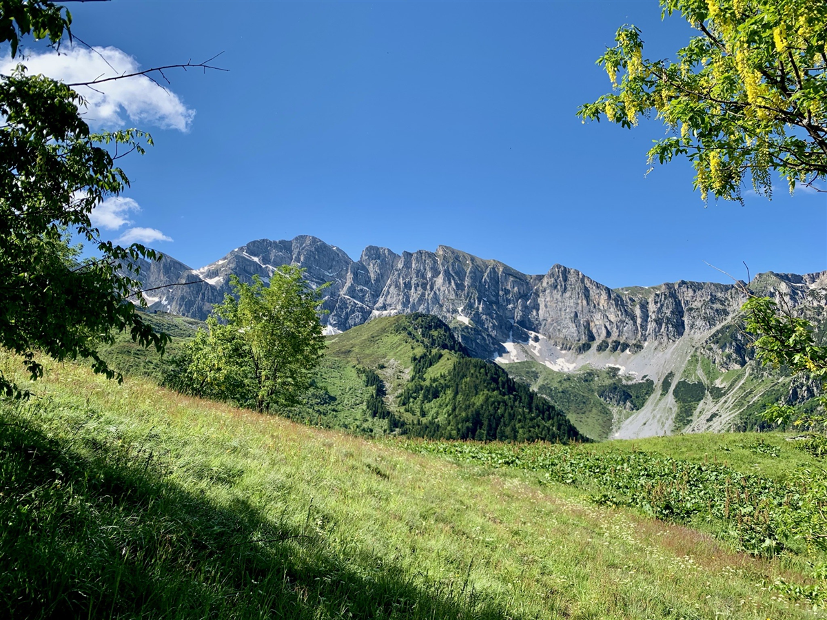 Aree Protette Alpi Marittime