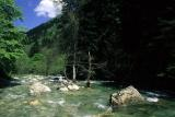Il torrente pesio